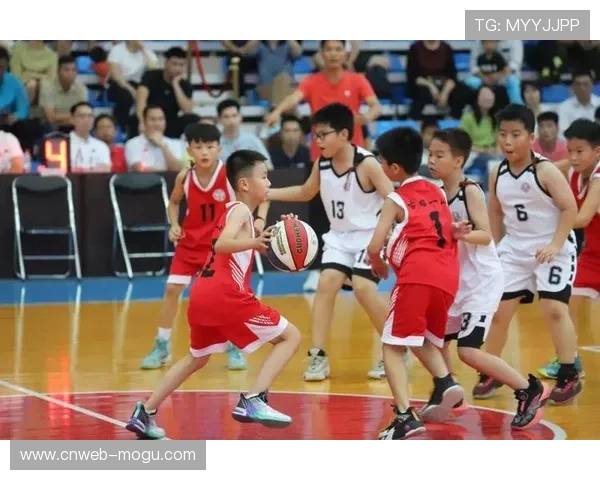 小篮球联赛推广，基层篮球人才涌现